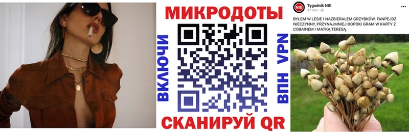 наркотики  Мелеуз  мега ССЫЛКА  Псилоцибиновые грибы мухоморы 